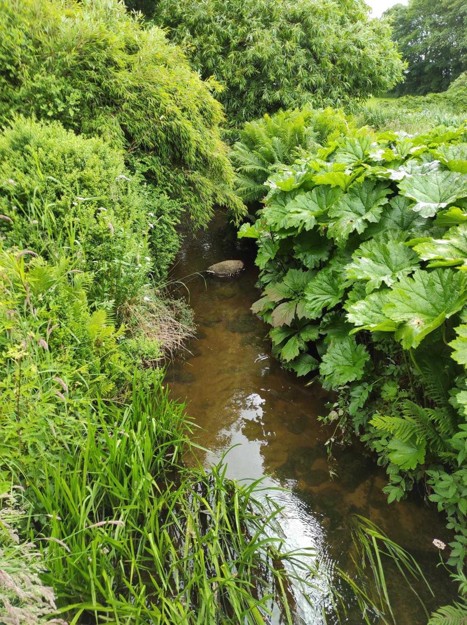 LintrupEmily'S Garden住宿加早餐旅馆 外观 照片