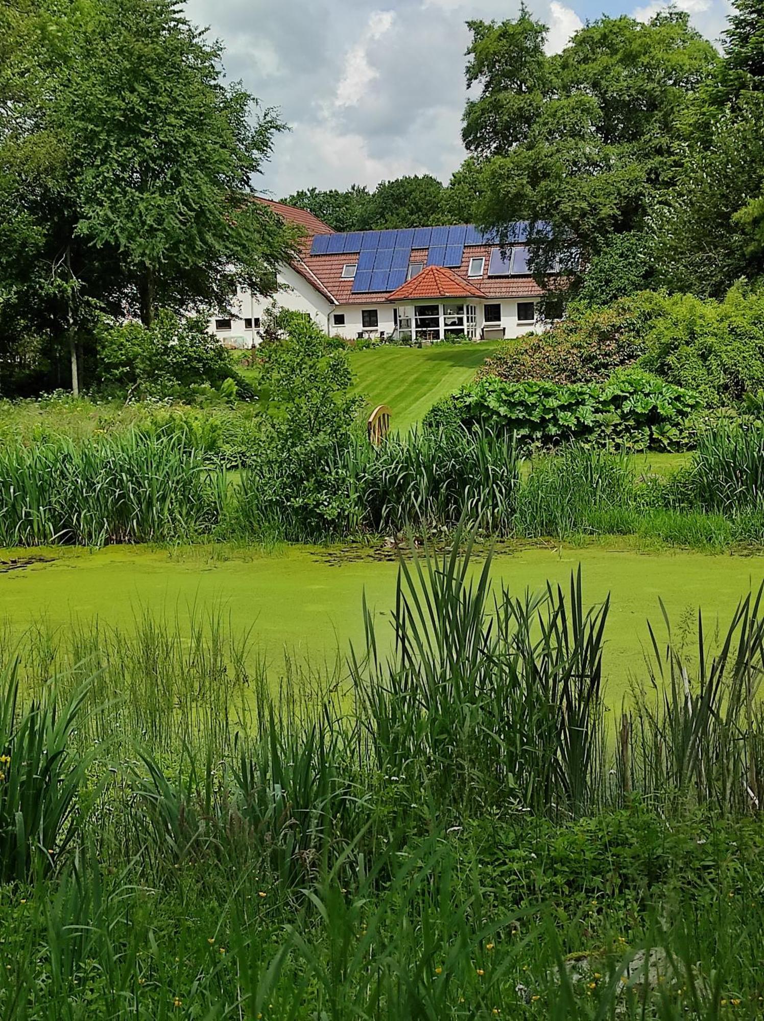 LintrupEmily'S Garden住宿加早餐旅馆 外观 照片