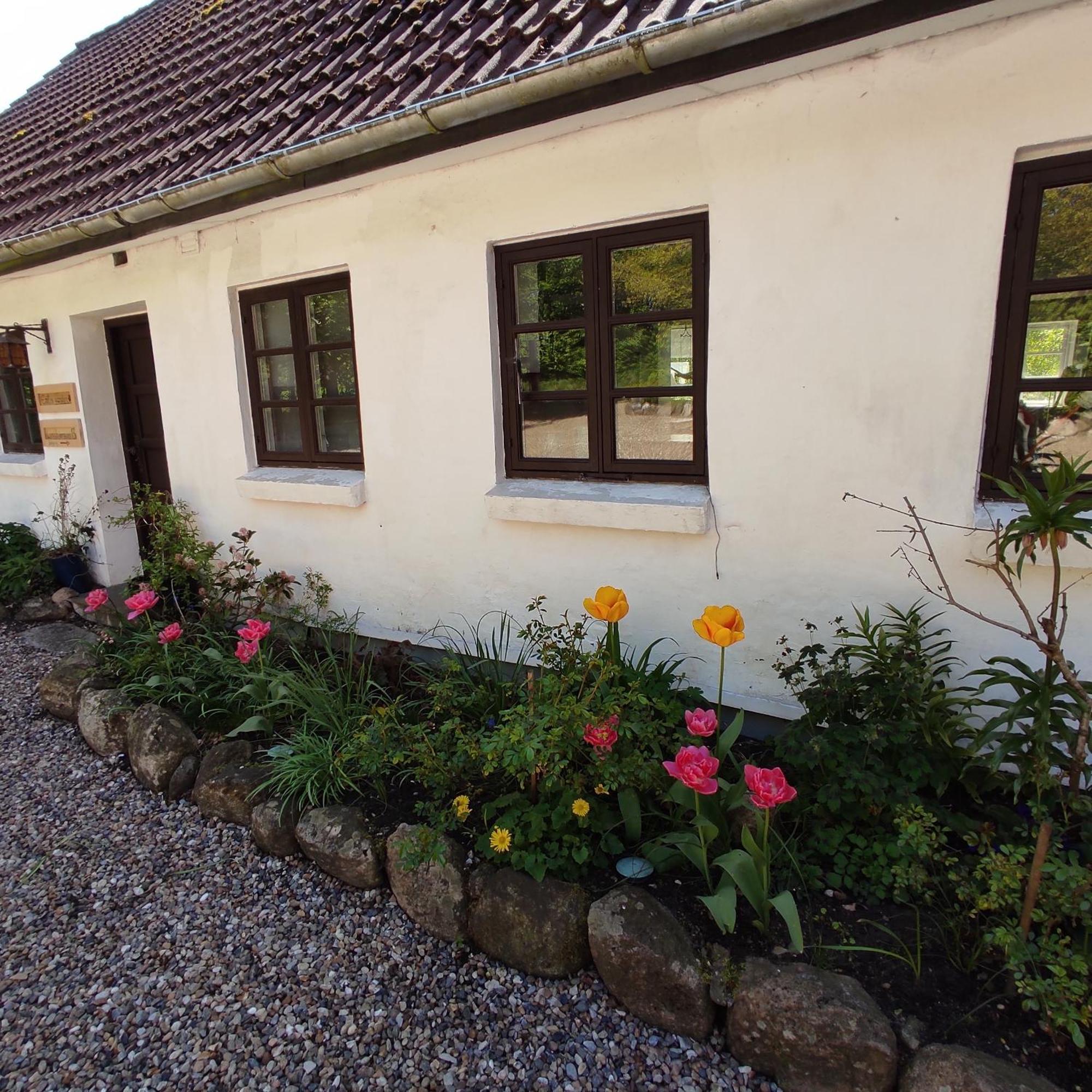 LintrupEmily'S Garden住宿加早餐旅馆 外观 照片